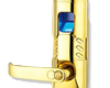 Fingerprint Door Lock Digi 98 Gold